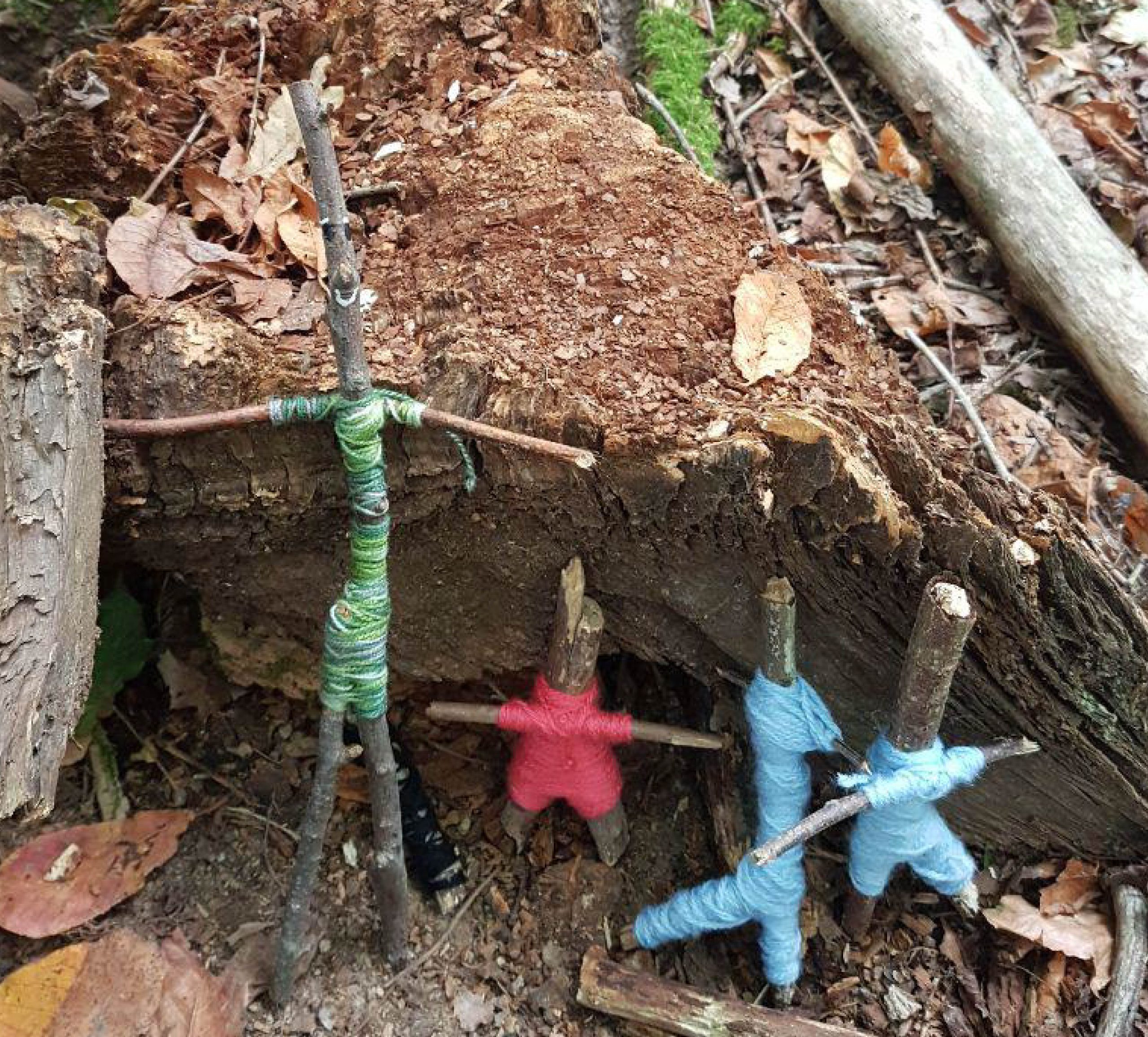 Waldabenteuer für die Kleinen - Wald- und Naturkindergarten Meckenheim e.V.